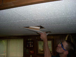 Fixed ceiling access